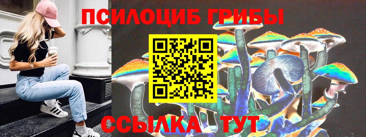 Псилоцибиновые грибы Psilocybine cubensis Реж