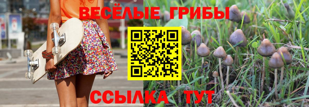Галлюциногенные грибы Cubensis  Вход с VPN  Реж  Галлюциногенные грибы ЛСД 